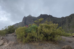 Mirador de Masca, Tenerife 02