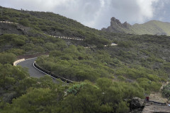 Mirador de Masca, Tenerife 43