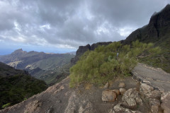 Mirador de Masca, Tenerife 46