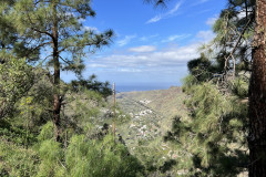 Mirador Los Berrazales, Gran Canaria 16