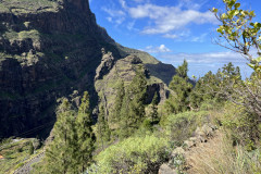 Mirador Los Berrazales, Gran Canaria 19