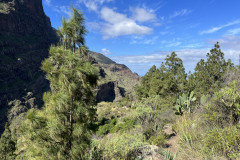Mirador Los Berrazales, Gran Canaria 22