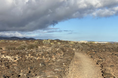 Monumento Natural de Montaña Amarilla, Tenerife 16