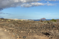 Monumento Natural de Montaña Amarilla, Tenerife 17