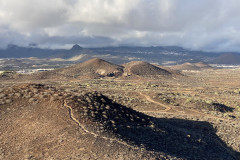 Monumento Natural de Montaña Amarilla, Tenerife 42