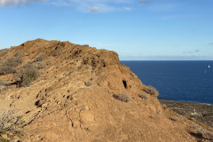 Monumento Natural de Montaña Amarilla, Tenerife 47