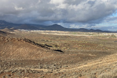 Monumento Natural de Montaña Amarilla, Tenerife 48