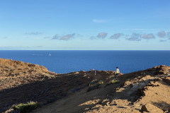 Monumento Natural de Montaña Amarilla, Tenerife 57