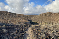 Monumento Natural de Montaña Amarilla, Tenerife 59