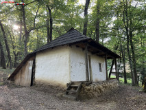 Muzeul ASTRA, Sibiu 199