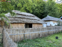 Muzeul ASTRA, Sibiu 87