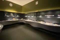 Muzeul Chihlimbarului din Colți  11