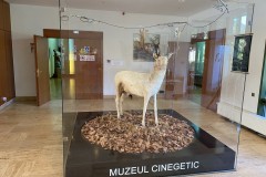 Muzeul Cinegetic Posada 08