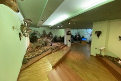 Muzeul Cinegetic Posada 43