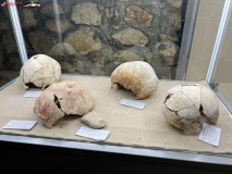 Muzeul de Arheologie și Antropologie, Republica Moldova 21