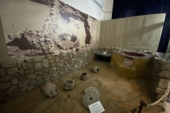 Muzeul de Istorie Națională și Arheologie din Constanța 70