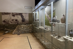 Muzeul de Istorie Națională și Arheologie din Constanța 73