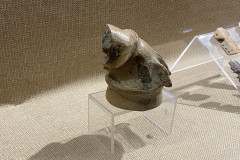 Muzeul Dunarii de Jos din Calarasi 132
