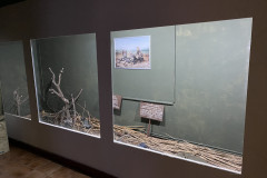 Muzeul Dunarii de Jos din Calarasi 31