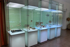 Muzeul Județean Ialomița 17