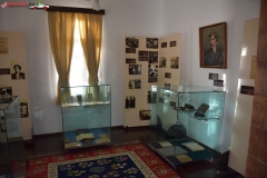 Muzeul Memorial Alexandru Vlahuta 13