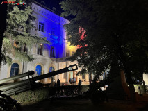 Muzeul Militar Național Regele Ferdinand I 01