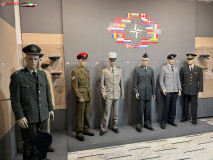 Muzeul Militar Național Regele Ferdinand I 281