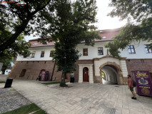 Muzeul Național al Banatului din Timisoara 09