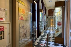 Muzeul Național de Geologie 06