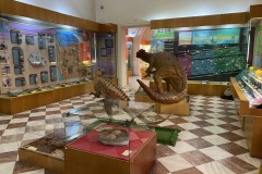 Muzeul Național de Geologie 120