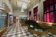 Muzeul Național de Geologie 122