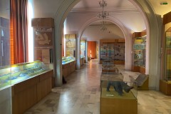 Muzeul Național de Geologie 123
