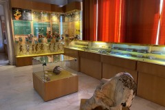 Muzeul Național de Geologie 143