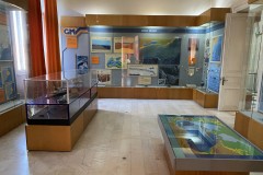 Muzeul Național de Geologie 145