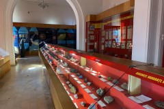 Muzeul Național de Geologie 20
