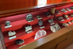 Muzeul Național de Geologie 21