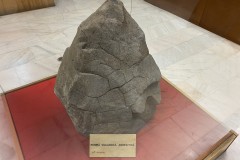 Muzeul Național de Geologie 36