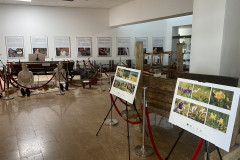 Muzeul Parcul National Muntii Macinului 10