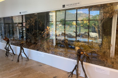 Muzeul Parcul National Muntii Macinului 14
