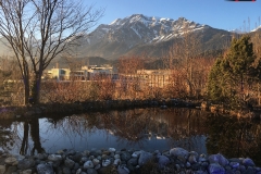 Muzeul Swarovski din Wattens, Austria 198