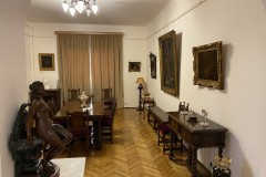 Muzeul Victor Babeș 13