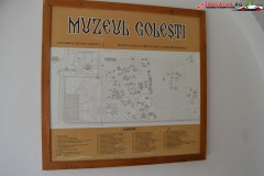 Muzeului Viticulturii şi Pomiculturii Goleşti 6