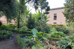 Național Agronomic Hijuela del Botánico, Tenerife 22