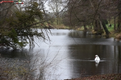 National Trust Stowe Anglia 47