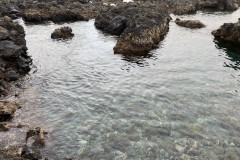 Natural swimming pool Punta Del Hidalgo, Tenerife 62