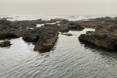 Natural swimming pool Punta Del Hidalgo, Tenerife 71