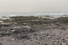 Natural swimming pool Punta Del Hidalgo, Tenerife 83