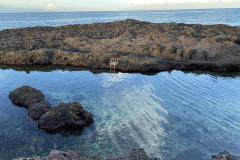 Natural swimming pool, Tenerife 17