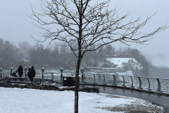 Niagara Falls State Park, New York 59