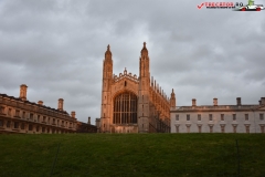 Cambridge 103